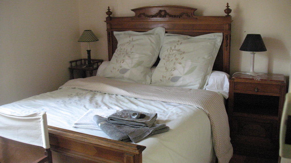 Bed and Breakfast La Mesnagerie Jarze Номер фото