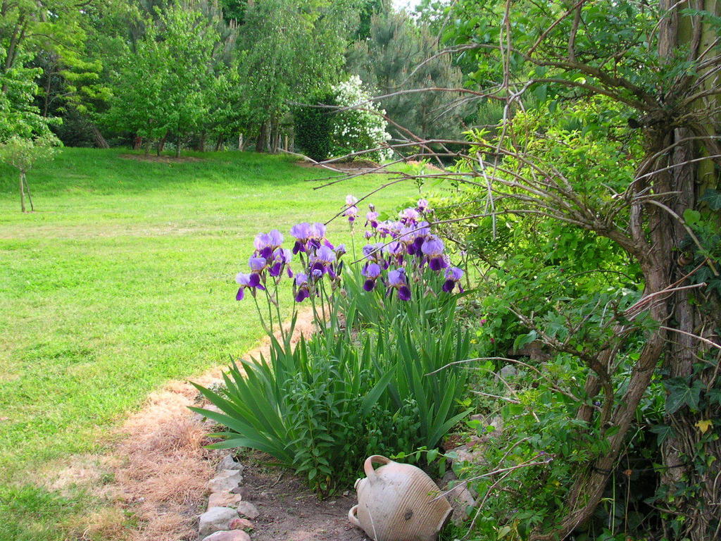 Bed and Breakfast La Mesnagerie Jarze Номер фото