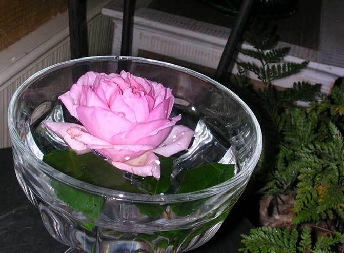 Bed and Breakfast La Mesnagerie Jarze Екстер'єр фото